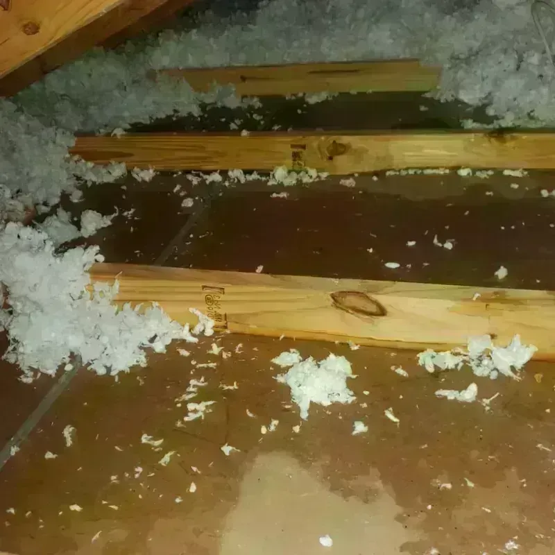 Attic Water Damage in Kealakekua, HI